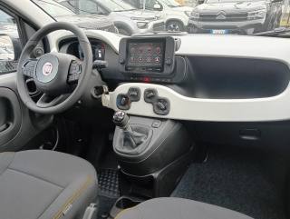 FIAT Panda usata, con Volante in pelle