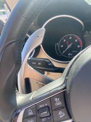 ALFA ROMEO Stelvio usata 38