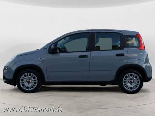 FIAT Panda usata, con Airbag