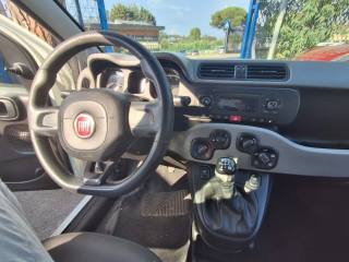 FIAT Panda usata, con Immobilizzatore elettronico