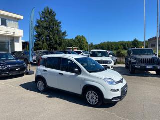 FIAT Panda usata, con Airbag Passeggero