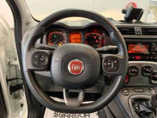 FIAT Panda usata, con Chiusura centralizzata