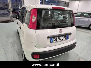 FIAT Panda usata, con Climatizzatore