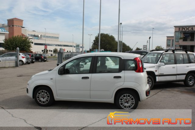FIAT New Panda usata, con Airbag testa