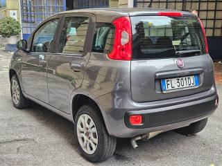 FIAT Panda usata, con Chiusura centralizzata