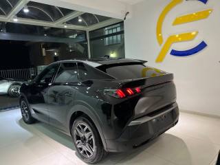 PEUGEOT 3008 usata, con Cronologia tagliandi