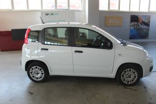 FIAT Panda usata, con Cerchi in lega