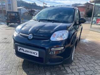 FIAT Panda usata, con Airbag Passeggero