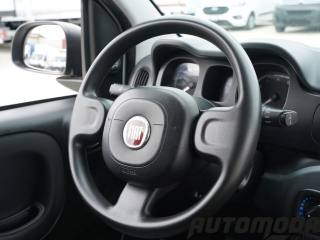 FIAT Panda usata 12
