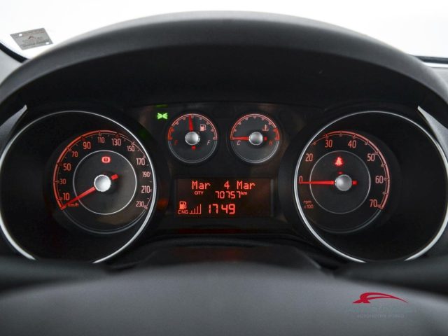 FIAT Punto usata 12