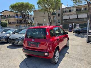 FIAT Panda usata, con Airbag Passeggero