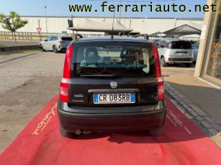 FIAT Panda usata 12