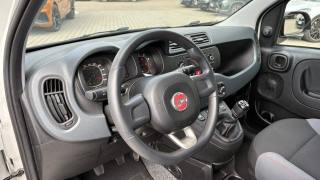 FIAT Panda usata, con ESP