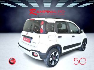FIAT Panda usata 6