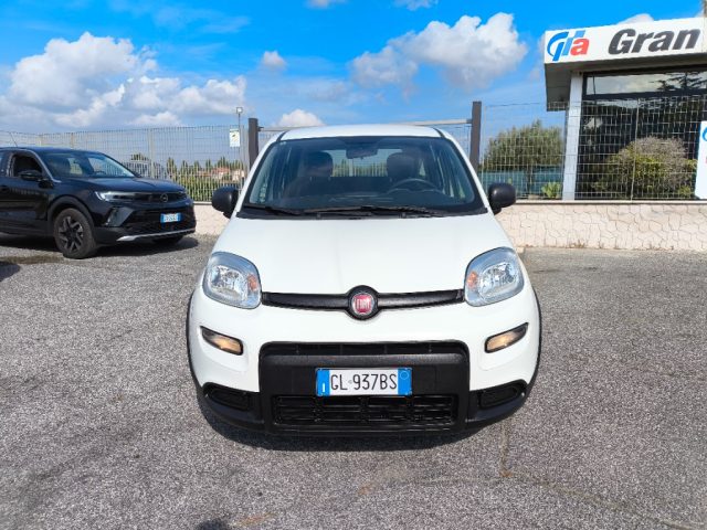 FIAT Panda usata 1