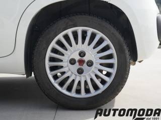 FIAT Panda usata 18