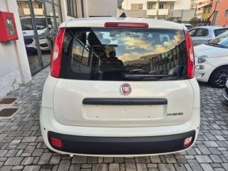 FIAT Panda usata, con Antifurto