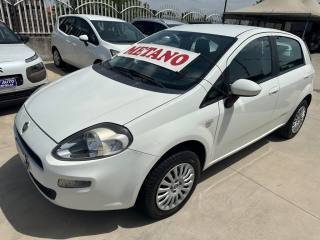 FIAT Punto usata, con Airbag