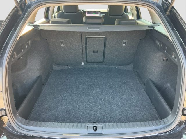 SKODA Octavia usata 12
