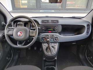 FIAT Panda usata, con Controllo trazione