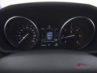 LAND ROVER Discovery usata 14