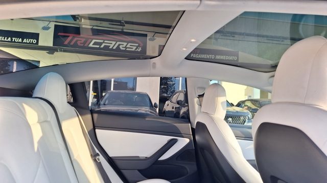 TESLA Model 3 usata, con Controllo trazione
