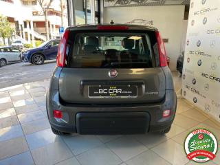 FIAT Panda usata, con Antifurto
