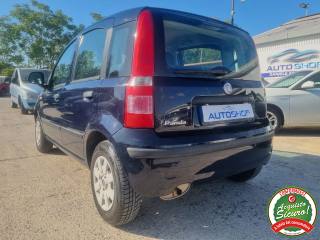 FIAT Panda usata 5