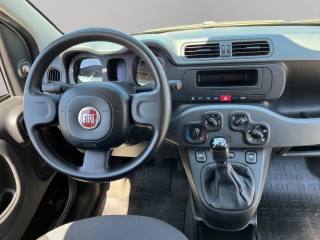 FIAT Panda usata 8