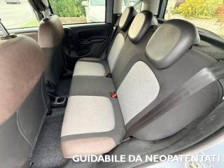 FIAT Panda Cross usata, con Climatizzatore