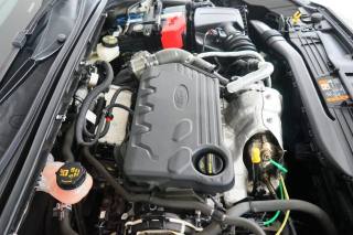 FORD Focus usata 59