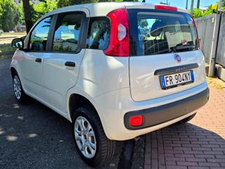 FIAT Panda usata, con Alzacristalli elettrici