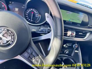 ALFA ROMEO Stelvio usata, con Fendinebbia