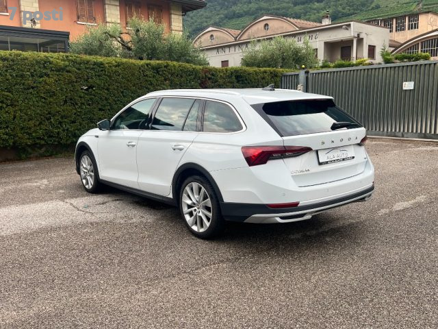 SKODA Octavia usata, con Antifurto