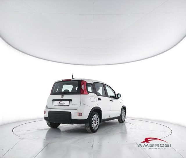 FIAT Panda usata 2