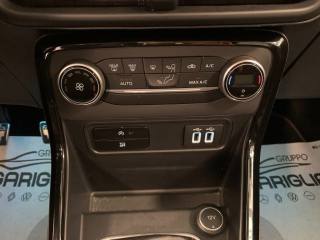FORD EcoSport usata, con Volante in pelle
