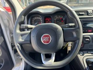 FIAT Panda usata, con Controllo trazione