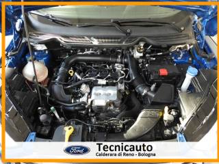 FORD EcoSport usata, con Frenata d