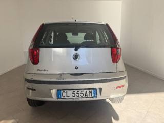 FIAT Punto usata 6