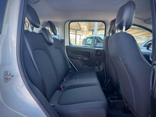 FIAT Panda usata 29