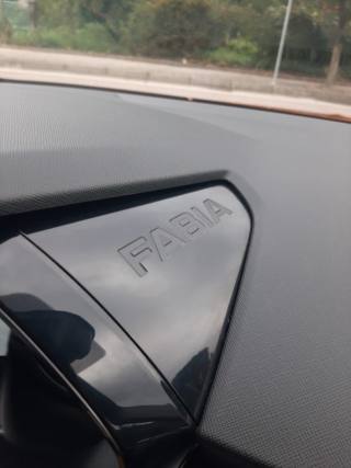 SKODA Fabia usata, con Specchietti laterali elettrici