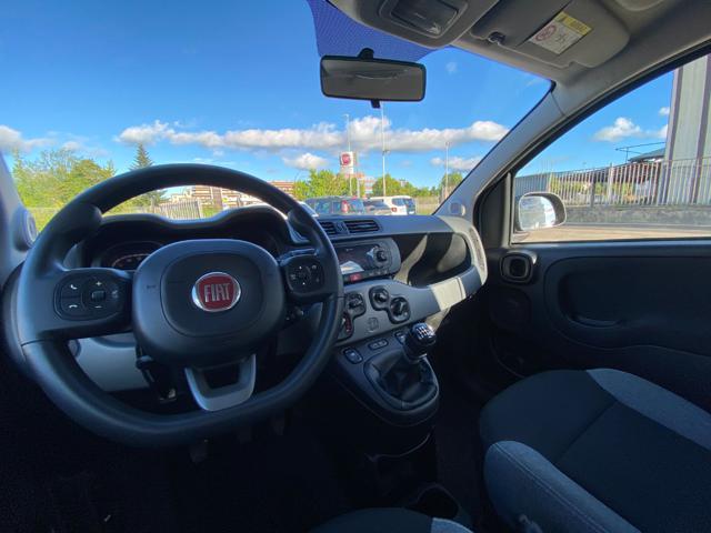 FIAT Panda usata 36