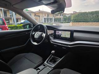 SKODA Octavia usata 105