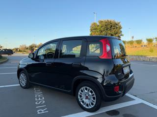 FIAT Panda usata 36