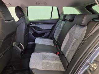 SKODA Octavia usata, con Fendinebbia