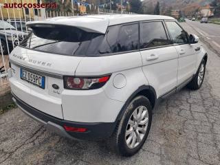 LAND ROVER Range Rover Evoque usata, con Trazione integrale