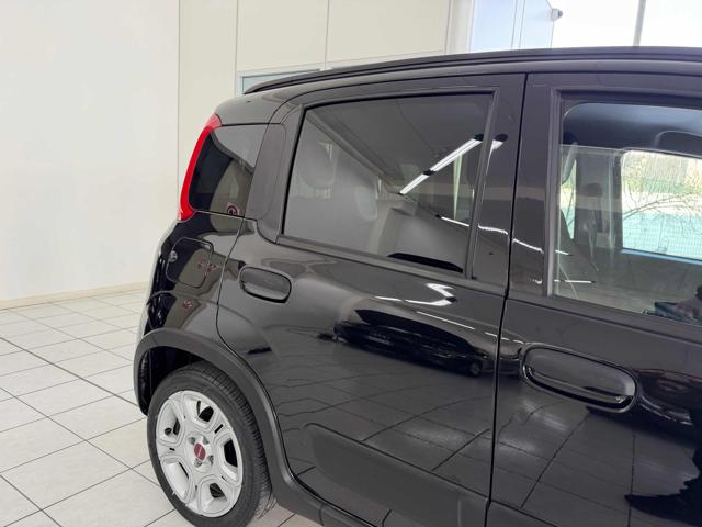 FIAT Panda usata 13