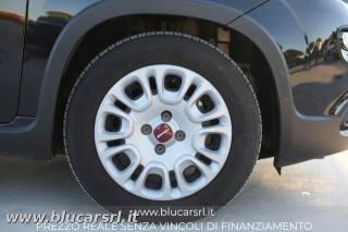FIAT Panda usata 15