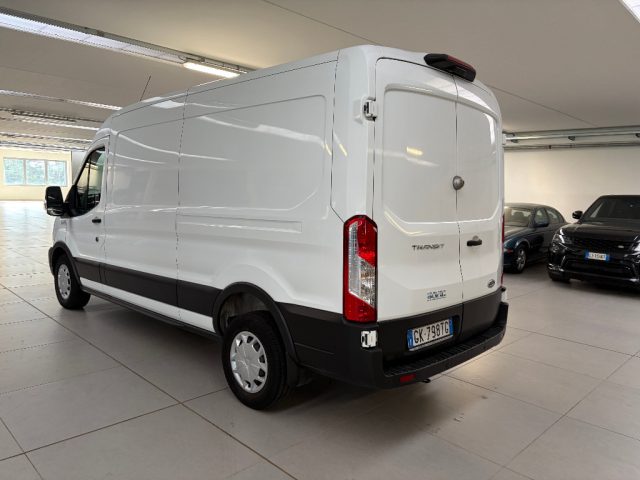 FORD Transit usata, con Fendinebbia