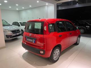 FIAT Panda usata, con Chiusura centralizzata